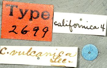 Media type: image;   Entomology 2699 Aspect: labels